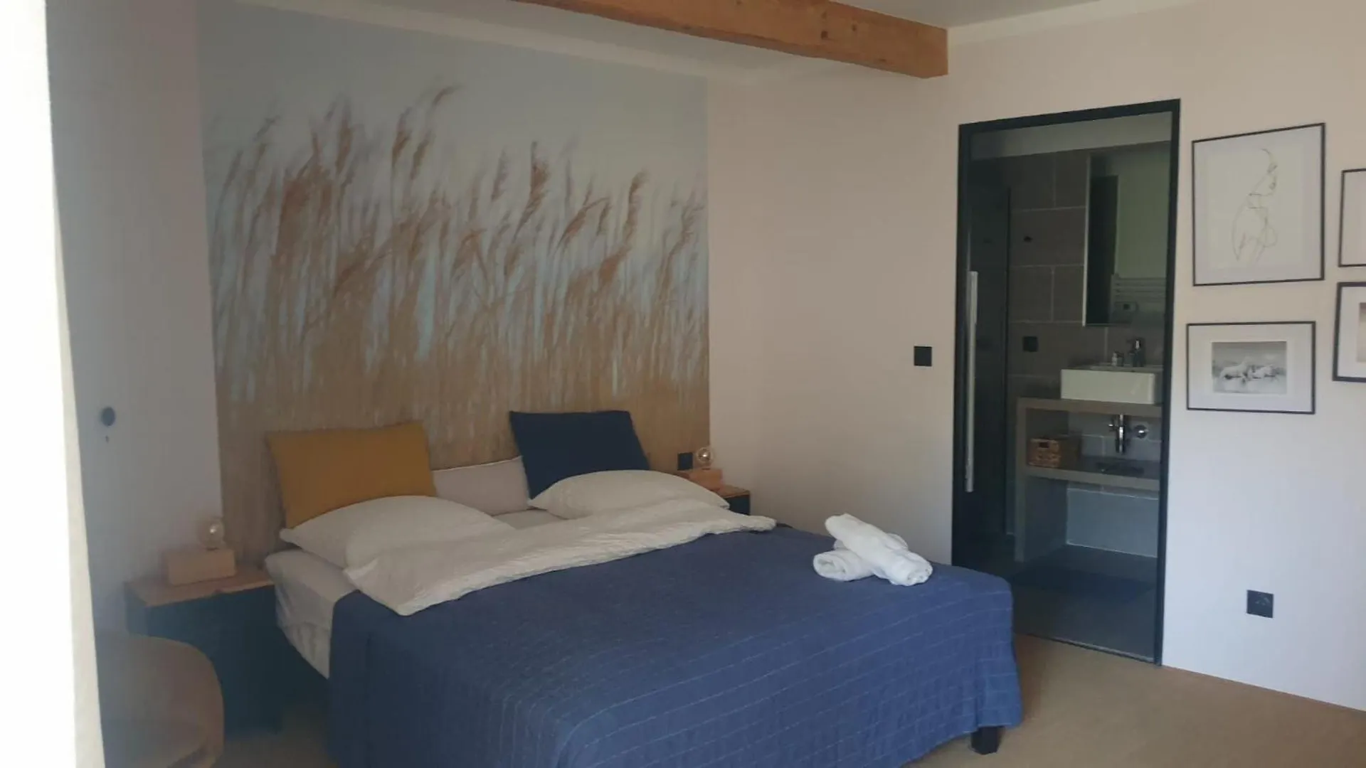 Mas Armelin Bed and Breakfast Tarascon