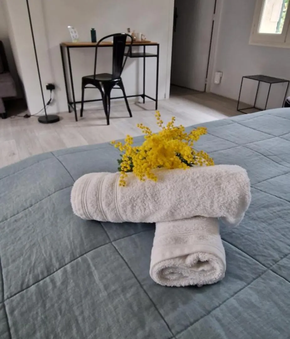 Mas Armelin Bed and Breakfast Tarascon