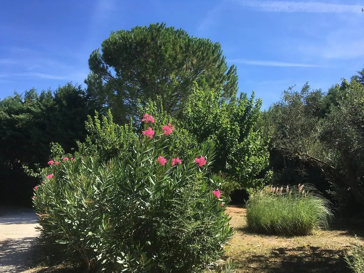 Mas Armelin Bed and Breakfast Tarascon